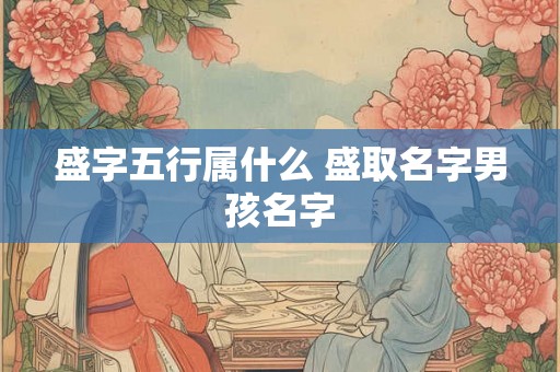 盛字五行属什么 盛取名字男孩名字