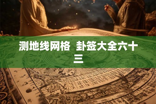 测地线网格  卦签大全六十三