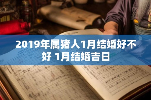 2019年属猪人1月结婚好不好 1月结婚吉日
