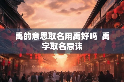 禹的意思取名用禹好吗  禹字取名忌讳