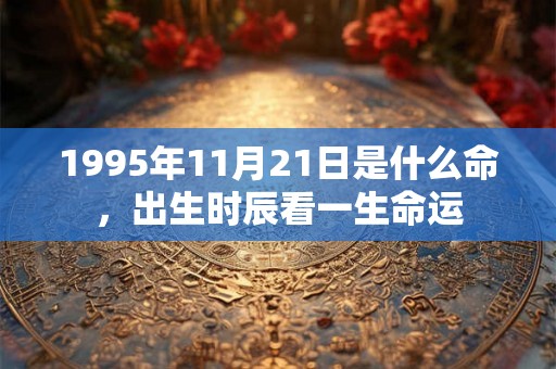 1995年11月21日是什么命,出生时辰看一生命运 1995年11月21日是什么命,出生时辰看一生命运