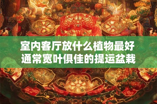 室内客厅放什么植物最好 通常宽叶俱佳的提运盆栽 室内客厅放什么植物最好 通常宽叶俱佳的提运盆栽