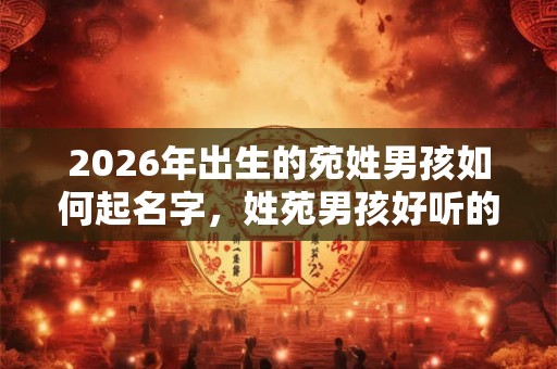 2026年出生的苑姓男孩如何起名字，姓苑男孩好听的名字
