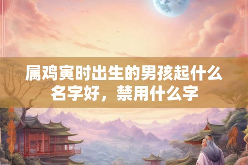 属鸡寅时出生的男孩起什么名字好，禁用什么字