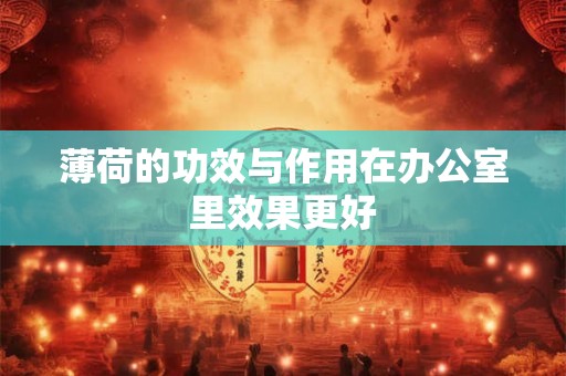 薄荷的功效与作用在办公室里效果更好
