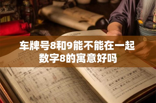 车牌号8和9能不能在一起 数字8的寓意好吗