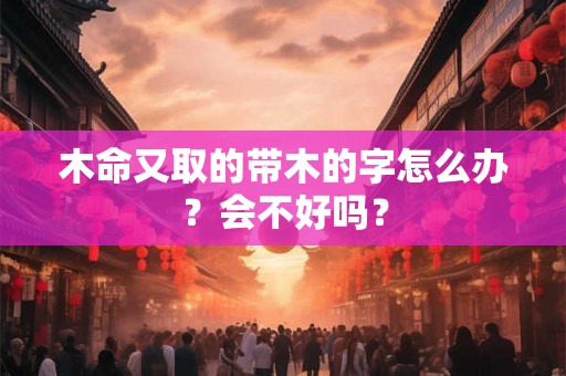 木命又取的带木的字怎么办？会不好吗？