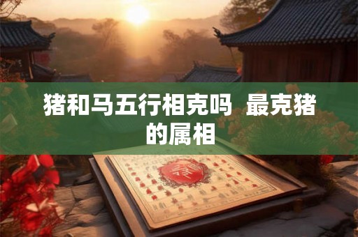 猪和马五行相克吗  最克猪的属相