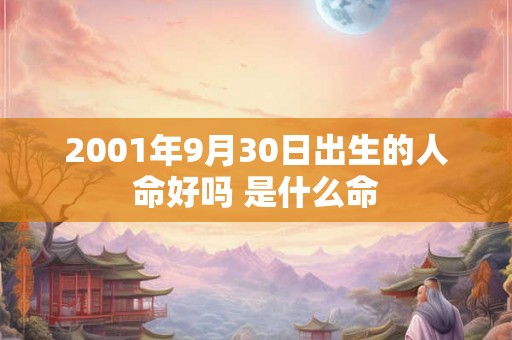2001年9月30日出生的人命好吗 是什么命