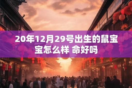 20年12月29号出生的鼠宝宝怎么样 命好吗