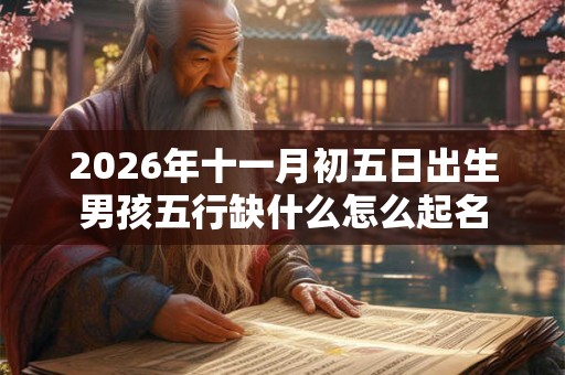 2026年十一月初五日出生男孩五行缺什么怎么起名
