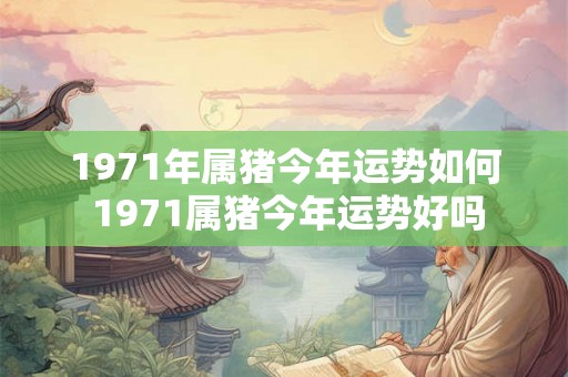 1971年属猪今年运势如何 1971属猪今年运势好吗