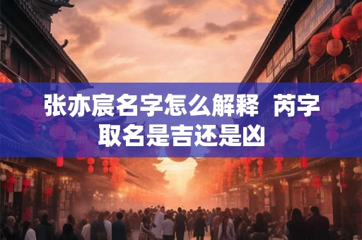 张亦宸名字怎么解释  芮字取名是吉还是凶