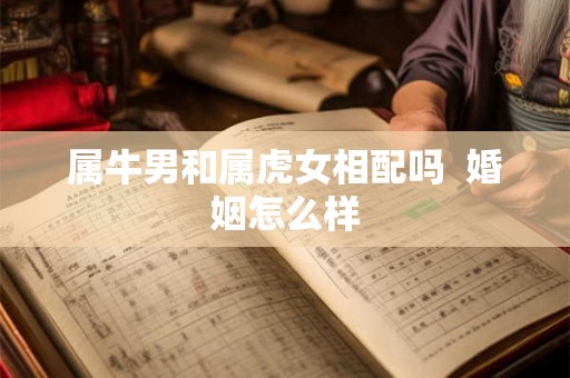 属牛男和属虎女相配吗 婚姻怎么样 属牛男和属虎女相配吗 婚姻怎么样