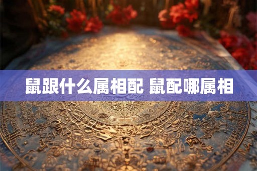 鼠跟什么属相配 鼠配哪属相