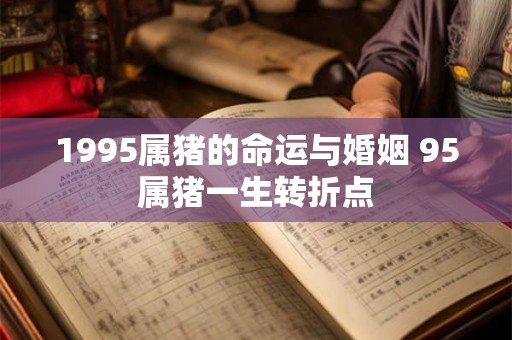 1995属猪的命运与婚姻 95属猪一生转折点
