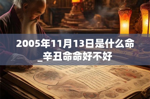 2005年11月13日是什么命_辛丑命命好不好