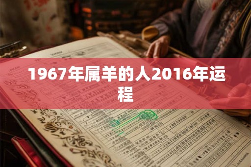 1967年属羊的人2016年运程
