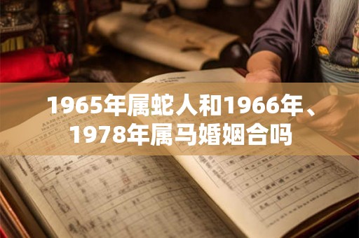 1965年属蛇人和1966年、1978年属马婚姻合吗