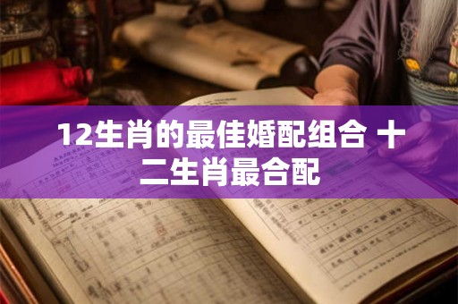 12生肖的最佳婚配组合 十二生肖最合配