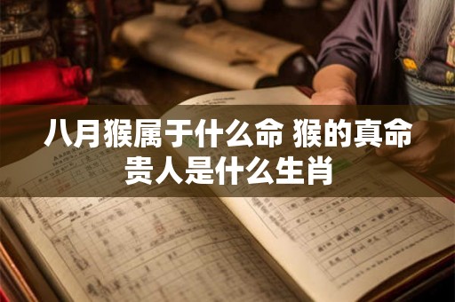 八月猴属于什么命 猴的真命贵人是什么生肖