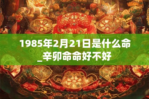 1985年2月21日是什么命_辛卯命命好不好