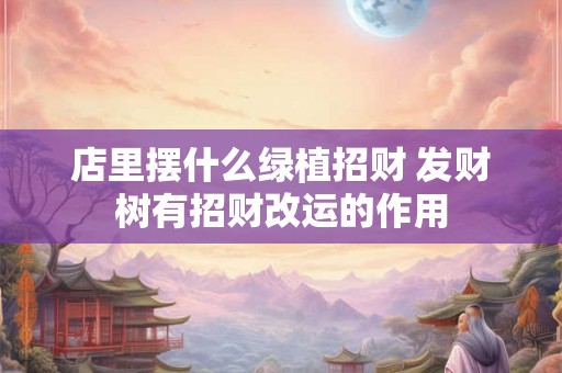 店里摆什么绿植招财 发财树有招财改运的作用 店里摆什么绿植招财 发财树有招财改运的作用