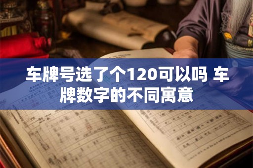 车牌号选了个120可以吗 车牌数字的不同寓意
