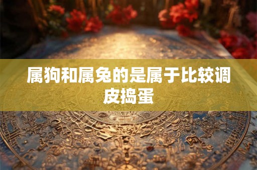 属狗和属兔的是属于比较调皮捣蛋 属狗和属兔的是属于比较调皮捣蛋