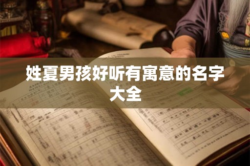 姓夏男孩好听有寓意的名字大全
