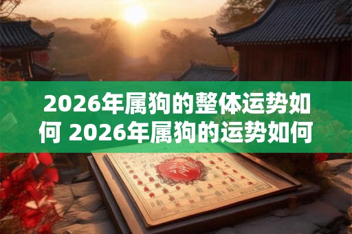 2026年属狗的整体运势如何 2026年属狗的运势如何
