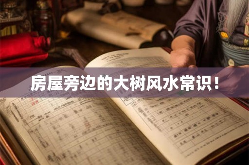 房屋旁边的大树风水常识！