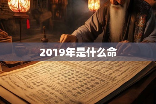 2019年是什么命