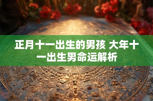 正月十一出生的男孩 大年十一出生男命运解析