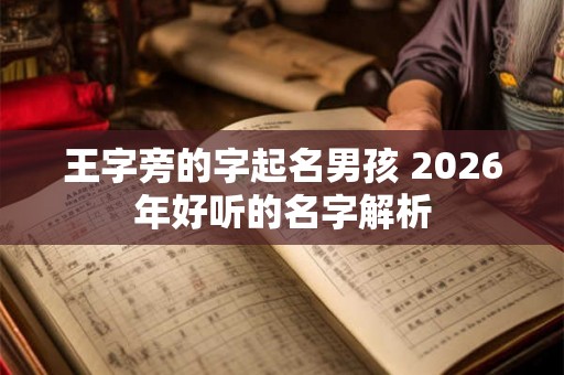 王字旁的字起名男孩 2026年好听的名字解析