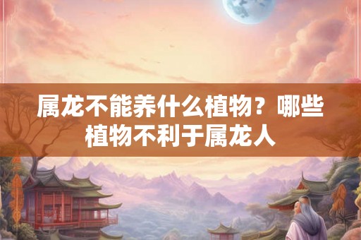 属龙不能养什么植物？哪些植物不利于属龙人