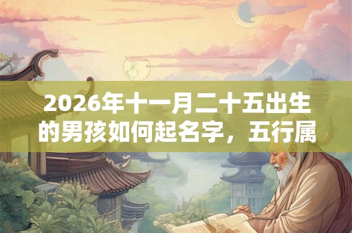 2026年十一月二十五出生的男孩如何起名字，五行属什么