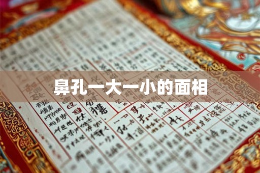 鼻孔一大一小的面相