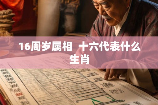 16周岁属相  十六代表什么生肖
