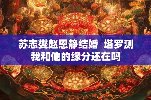 苏志燮赵恩静结婚  塔罗测我和他的缘分还在吗