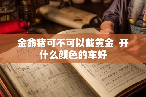 金命猪可不可以戴黄金  开什么颜色的车好