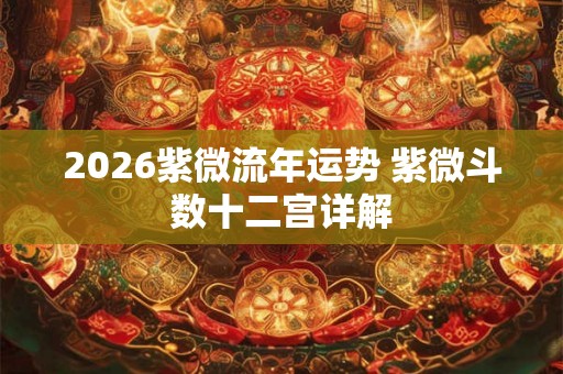 2026紫微流年运势 紫微斗数十二宫详解