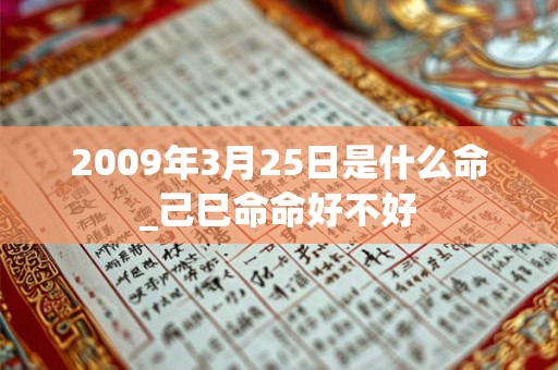 2009年3月25日是什么命_己巳命命好不好
