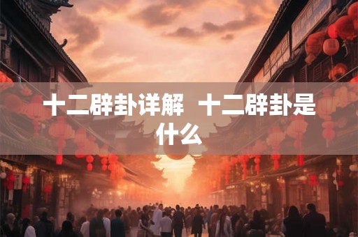 十二辟卦详解  十二辟卦是什么