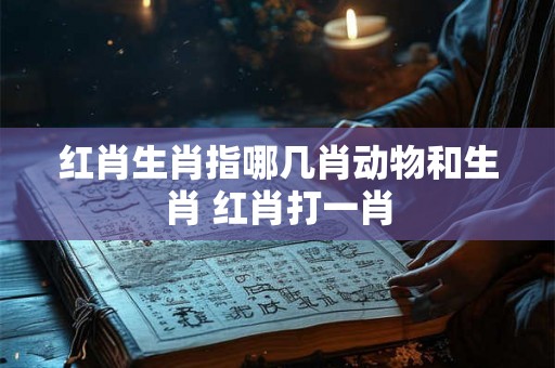 红肖生肖指哪几肖动物和生肖 红肖打一肖