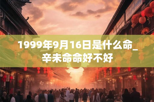 1999年9月16日是什么命_辛未命命好不好