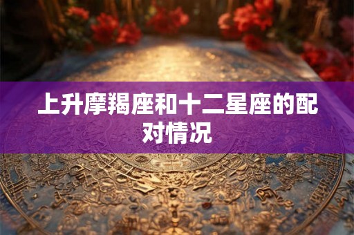上升摩羯座和十二星座的配对情况