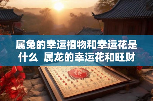 属兔的幸运植物和幸运花是什么  属龙的幸运花和旺财花