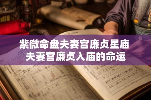 紫微命盘夫妻宫廉贞星庙 夫妻宫廉贞入庙的命运