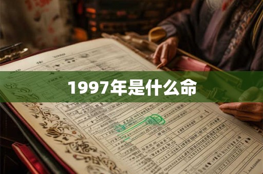 1997年是什么命 1997年是什么命